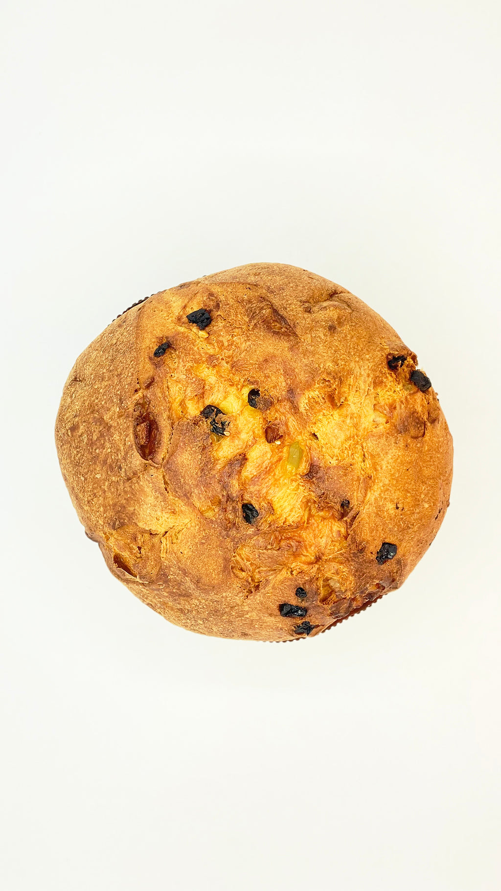 Panettone Tradizionale